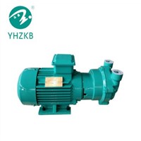 YHZKB Brand SK-0.8A 2.2kw Single Stage Monoblock Liquid Ring Vacuum Pump