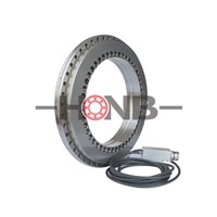 YRTM460 Rotary Table Bearings with Angular Measuring System