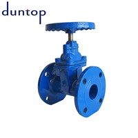 Stainless Steel Gate Valve with Key