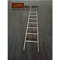 Construction Formwork Scaffolding Steel Access Ladder