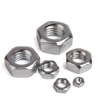 Hex Nuts DIN934 Best Quality from China