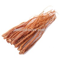 Dried Red Ginseng Roots for EU Standard