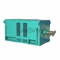 Y Series (10KV) Motor: Closed Squirrelcage, Three Phase Asynchronous Motor (H 710-1000mm)