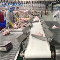 Chicken Paw Sorting by Weight with Automatic Machine