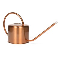 0.9 Liter Stainless Steel Watering Can Watering Pot