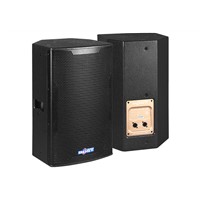 12 Inch Two Way Professional Loudspeaker System BP-12