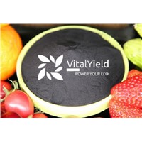 Fulvic Acid - VitalYield Biotech