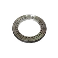 Slewing Ring Bearing with Spray Paint &amp;amp; Corrosion-Proof