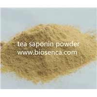 Tea Saponin Powder Organic Fertilizer with 60% Saponin