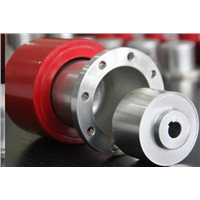 Magnetic Coupling for Magnetic Pump