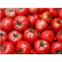 Our Company Produces 36-38 &amp;amp; 28-30 Tomato Paste 2019 Corp