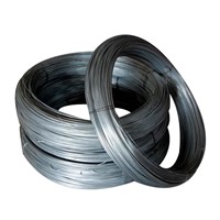 Galvanized Binding Wire 1kg Per Roll with 10kg Per Bundle for Fence