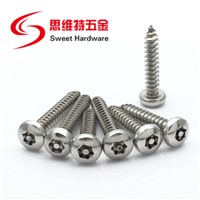 Stainless Steel A2 A4 Pan Head Torx Self Tapping Screw