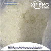 625444659361/6 Factory Supply Polyhexamethylene Guanidine Hydrochloride (Phmg) for Disinfection