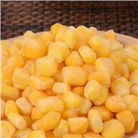 IQF Frozen Super Sweet Corn Wholesales High Quality Cheap Price