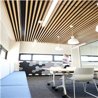 Decorative Building Material Standard Rectangle Shaped Aluminum Baffle Ceiling Tiles