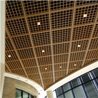 Aluminum Grille Ceiling Decoration for Shopping Malls Building Material