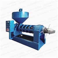 YZYX168 Is the Biggest Model for Single Screw Oil Mill Equipment