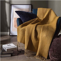 Low Moq Yellow Gray Beige Blue Single Sofa Office Nap Air Conditioning Shawl Quilt Waffle Throw Blanket with Tassel