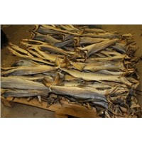Tusk Dried Stock Fish Cod / Dried Salted Cod Fish