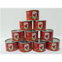 70g Canned Tomato Paste Brix: 28-30 100% Pure
