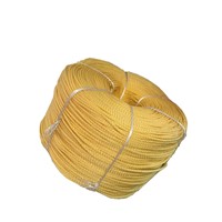 3 Strand Polypropylene Multifilanment Ship PP Towing Rope for Sale Boat Cord Diameter 8mm