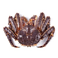 Live &amp;amp; Frozen Red King Crab for Sale