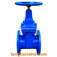 Replaceable Liner Gate Valve (TH-GTV)