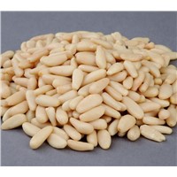 Supreme Quality Pine Nuts for Sale