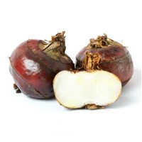 Premium Quality Chestnuts for Sale