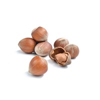 Premium Quality Organic Hazelnuts