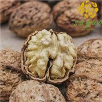China Lowest Price Yunnan Walnut Inshell