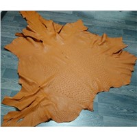 Tanned Ostrich Skin Leather for Sale