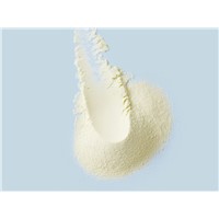 Full Cream Camel Milk Powder for Sale