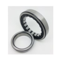 Electric Tools NJ411M / C4 Cylindrical Roller Bearings