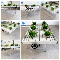 Vertical Hydroponic System Aquaponics Growing Greenhouse Grow Tray Ebb &amp;amp; Flow Systems for Sale