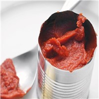 Hot Brix &amp;amp; Cold Brix Tomato Paste
