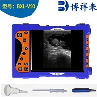 China Boxianglai Bovine Ultrasound Bxl-V50 Portable Ultrasound Scanner for Veterinary Use