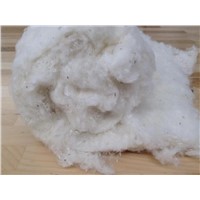 Very Pure Organic Raw Cotton Suppliers