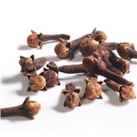 Excellent Quality Organic Cloves