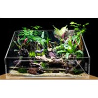 Acrylic Turtle Fish Tank for Aquatic Pets