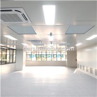 Professional Manufacture Auto Door Air Shower High Performance Customize Air Shower
