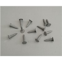 Flat Head Clout Nails, Felt Nails, Flat Large Head Roofing Nails or