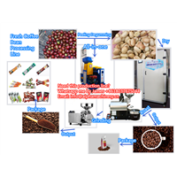 Coffee Bean Processing Line/Fresh Coffee Peeling Machine/Coffee Bean Stoning Grating Machine