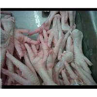 CHICKEN PAWS AVAILABLE for EXPORT