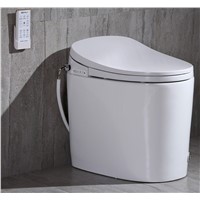 Bathroom/ Seat Heated/ Ceramic /Sanitary Ware /Smart /Bidet/ Bowl/ Heated/ Electrical /Automatic /Intelligent/ Wall Hun