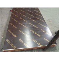Brown/Black Film Faced Plywood for Shuttering