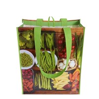 Laminated Non Woven Shopping Bag-MJT19026