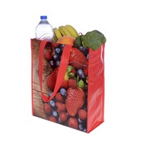 Laminated Non Woven Shopping Bag-MJT19025