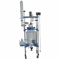 10L Pilot Batch Reactor Jacketed Double Layer Glass Reactor with Rectification Column &amp;amp; Condenser